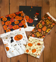 Load image into Gallery viewer, Halloween Fabric Scrap Bundle